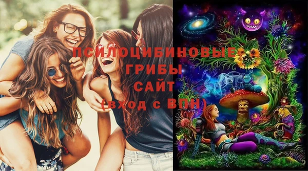 ALPHA PVP Верхний Тагил