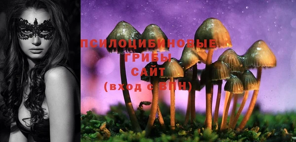 ALPHA PVP Верхний Тагил