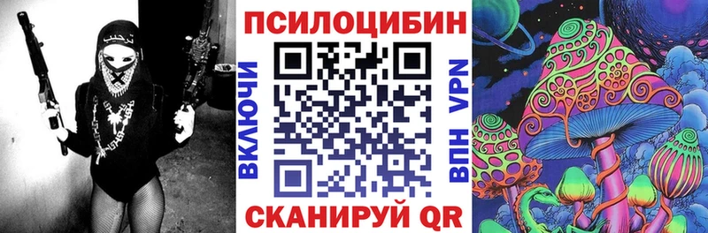 Галлюциногенные грибы Psilocybine cubensis Нововоронеж