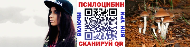 Купить  Нововоронеж  Галлюциногенные грибы Cubensis 